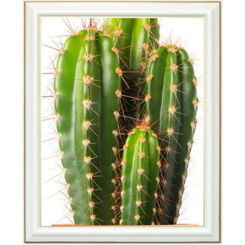 Broderie diamant - Cactus