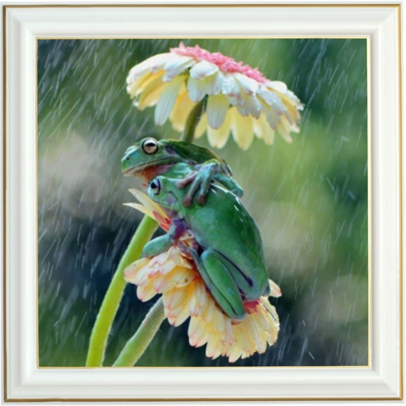 Peinture diamant - Les deux grenouilles