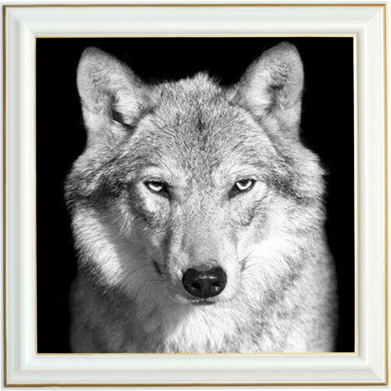 Broderie diamant - Loup gris