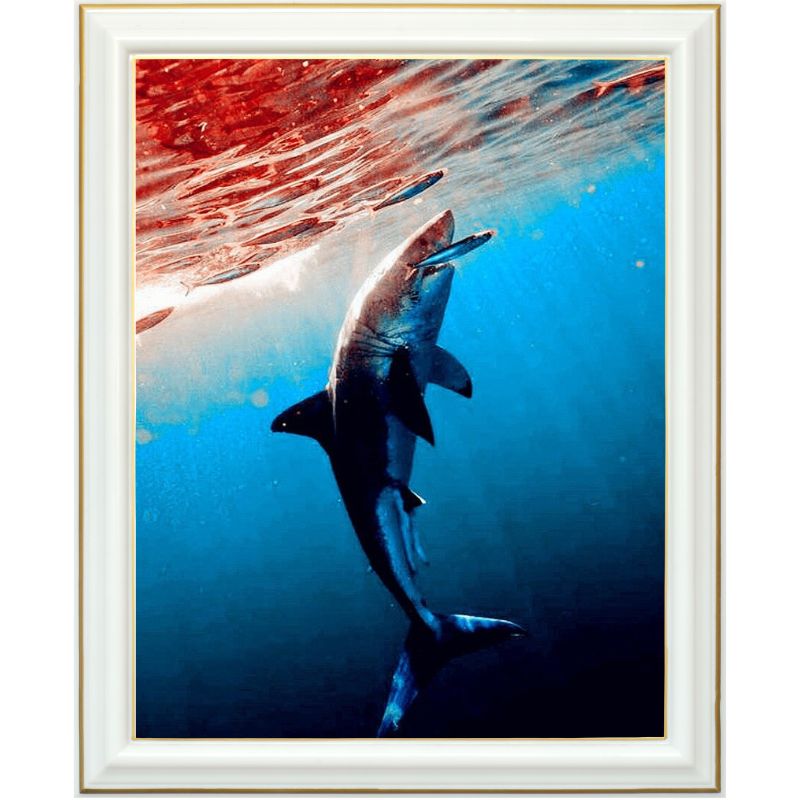 Diamond painting - Impitoyable requin
