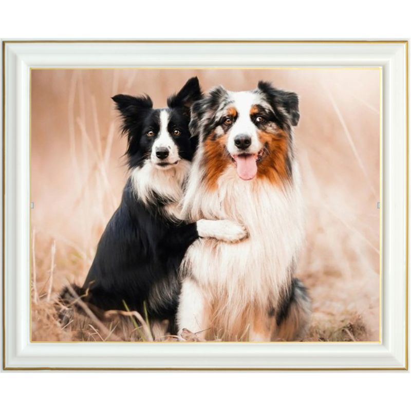 Diamond painting - Berger australien