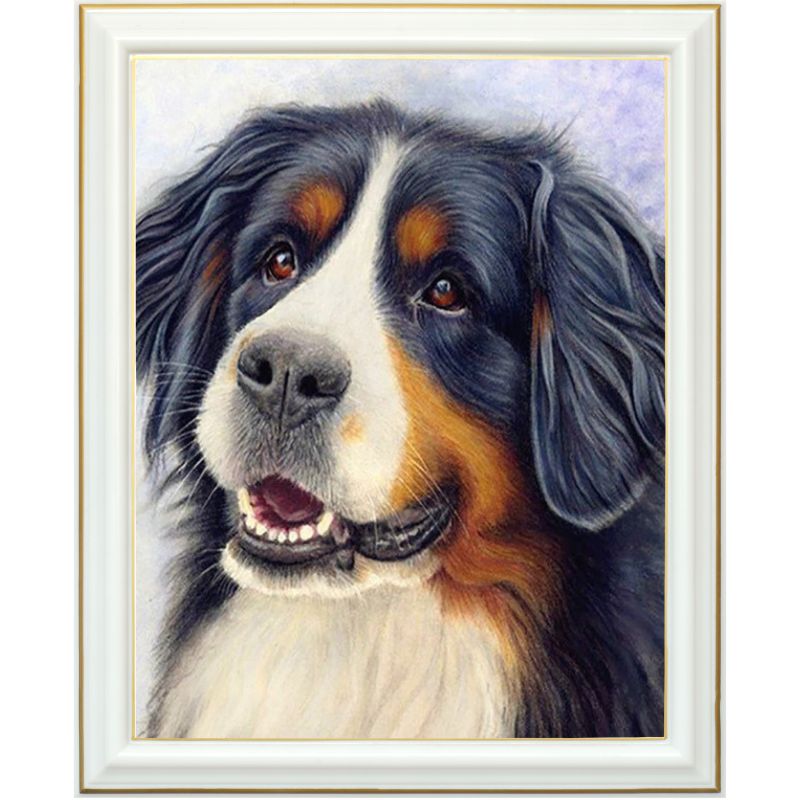 Broderie diamant - Bouvier Bernois