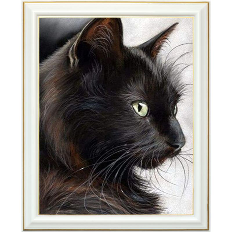 Diamond painting - Chat angora