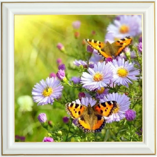 Broderie diamant - Aster amelle et papillons