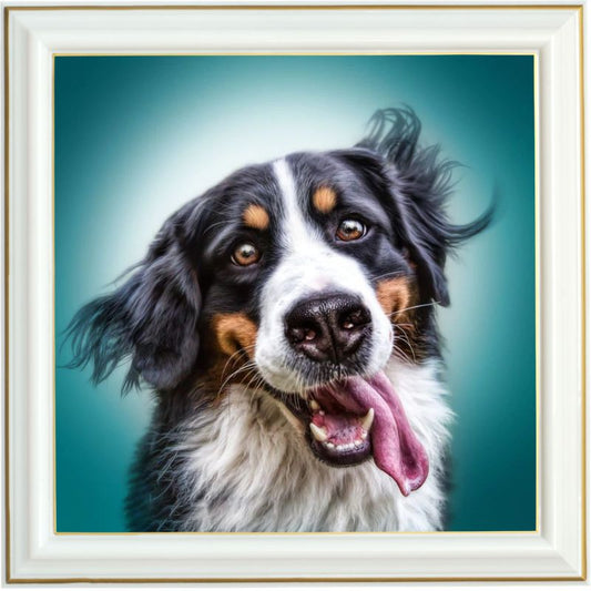 Broderie diamant - Grimace de chien