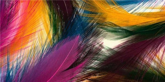 Broderie diamant XXL - Plumes d'art
