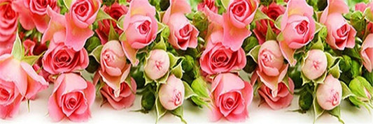 Broderie diamant XXL - Roses