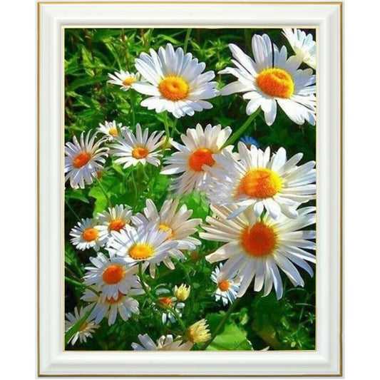 Peinture diamant - Marguerites