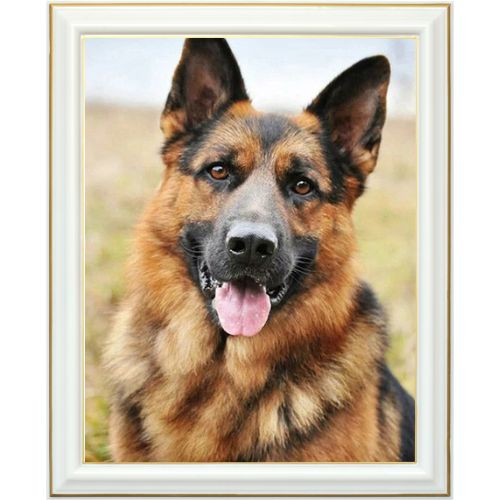 Broderie diamant - Berger allemand joyeux