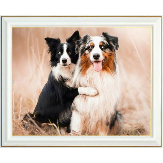 Diamond painting - Berger australien