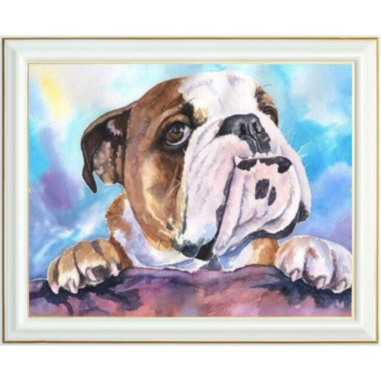 Broderie diamant - Bouledogue Américain