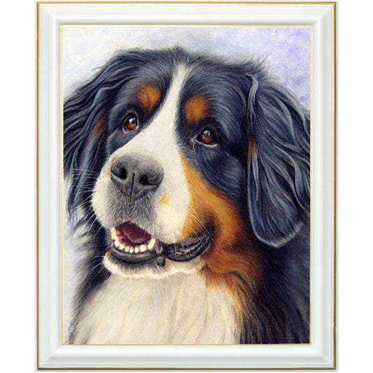 Broderie diamant - Bouvier Bernois
