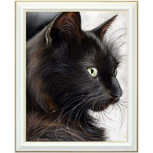 Diamond painting - Chat angora