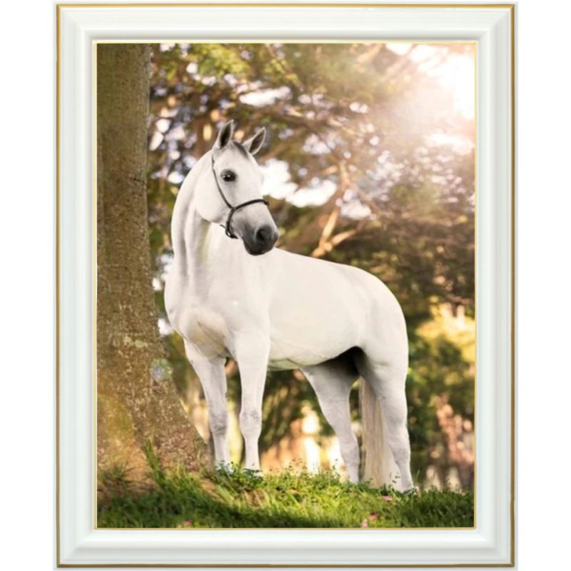 Diamond painting - Cheval Blanc