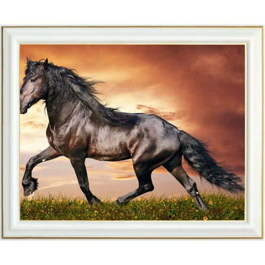 Broderie diamant - Cheval noir