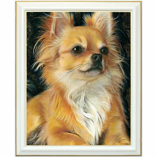 Broderie diamant - Chihuahua à poil long