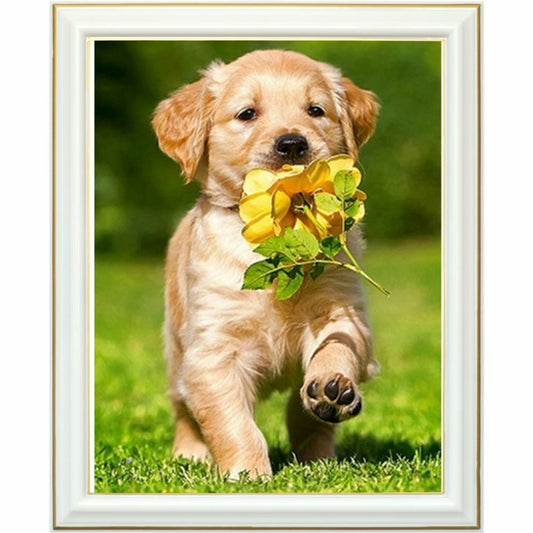 Broderie diamant - Golden retriever chiot