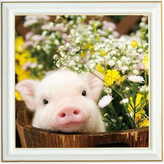Broderie diamant - Cache-cache cochon