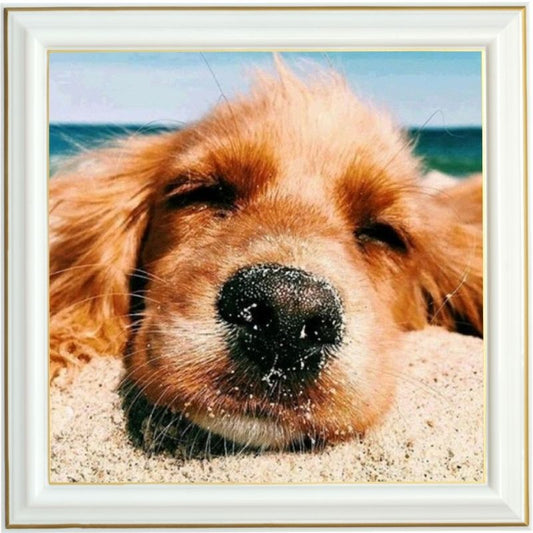 Broderie diamant - Cocker anglais à la plage