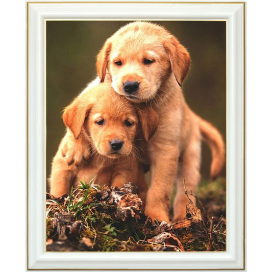 Broderie diamant - Chiot golden retriever