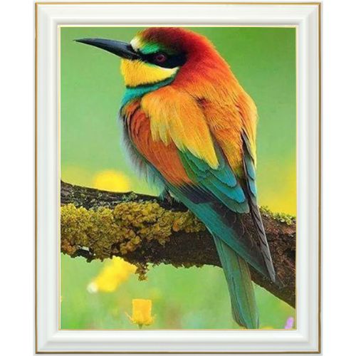 Diamond painting - Guêpier d'Europe