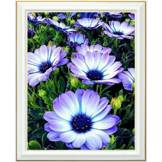 Broderie diamant - Marguerite du Cap
