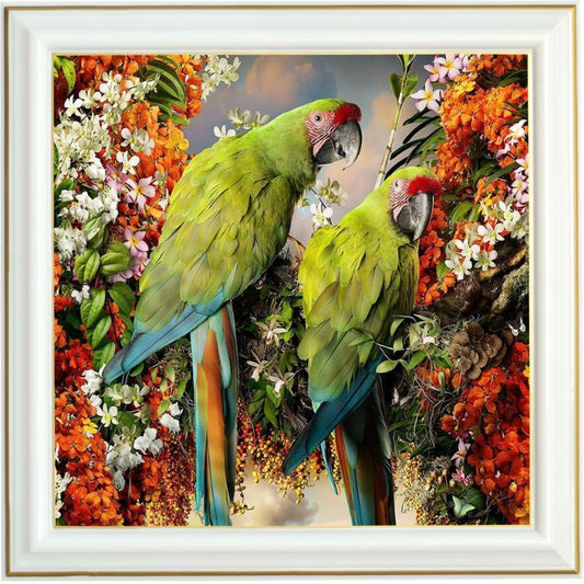 Broderie diamant - Couple de aras