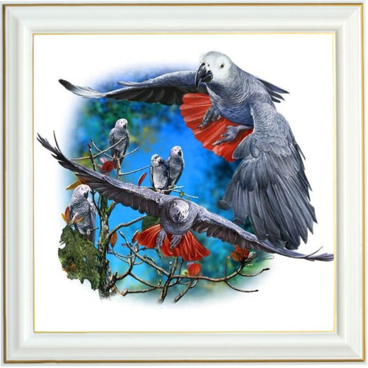 Broderie diamant - Les perroquets gris