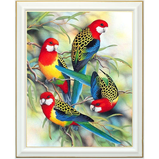 Broderie diamant - Famille perroquets