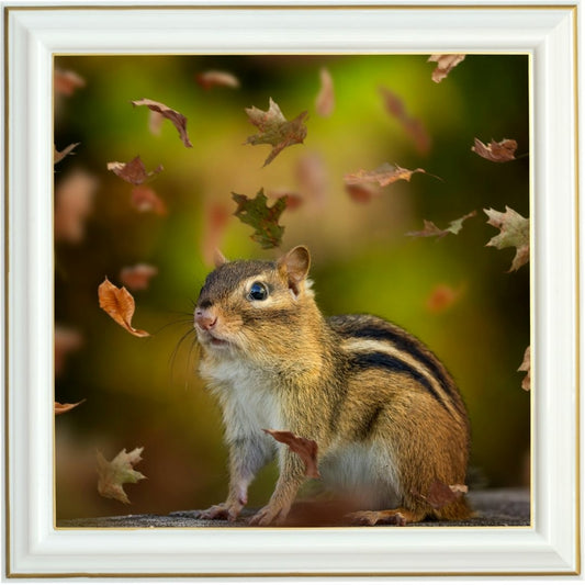 Diamond painting - Tamia en automne